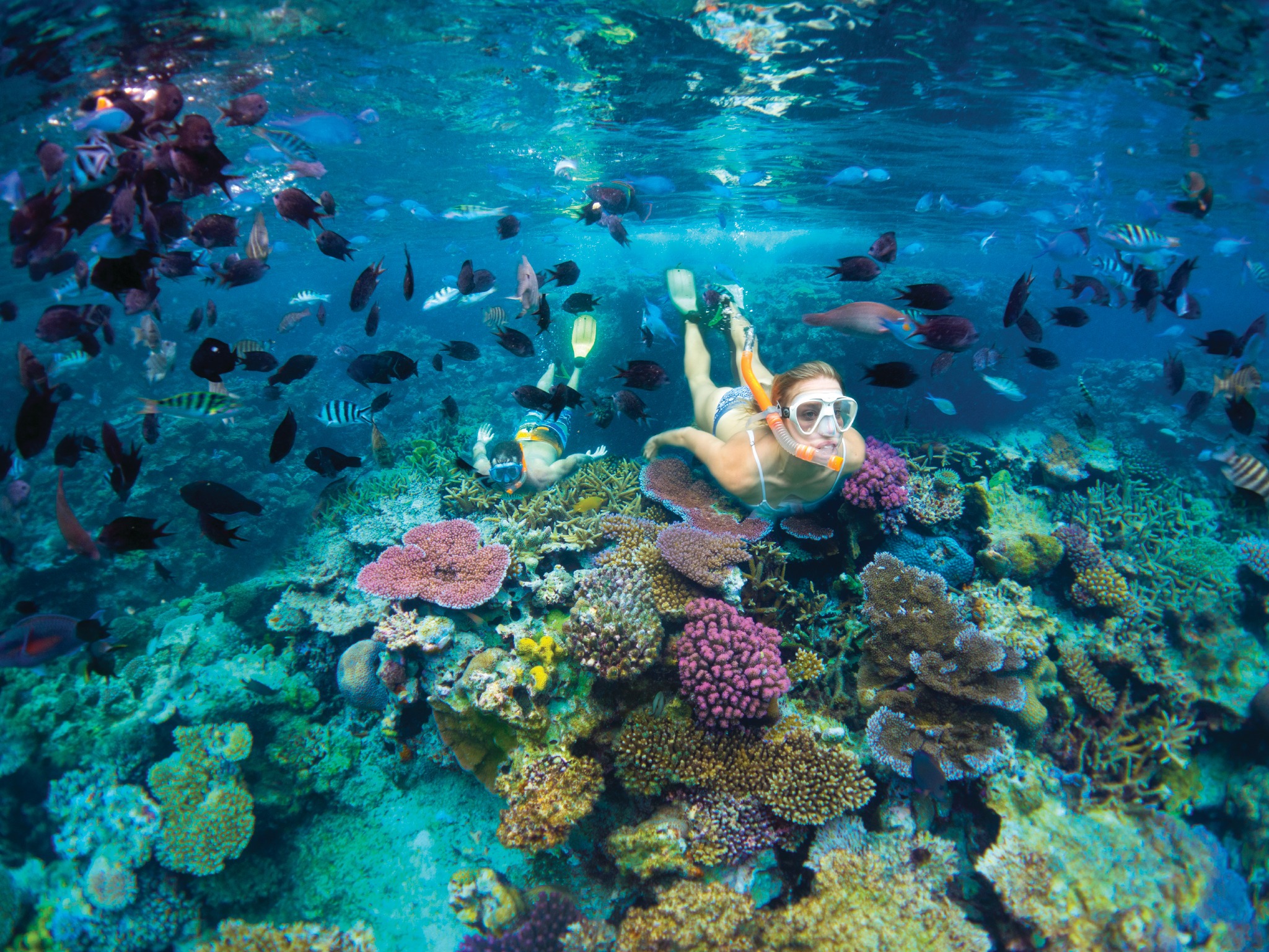 Best dive sites in Vanuatu - Pacific Island Living - Travel & Tourism Guide
